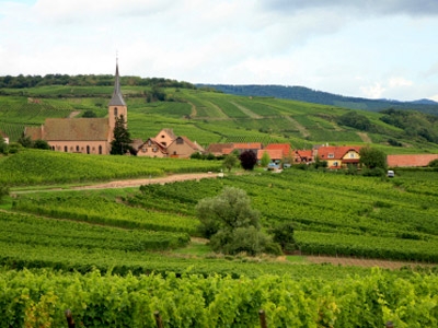 Fichier:Alsace-wine-region-1.jpg