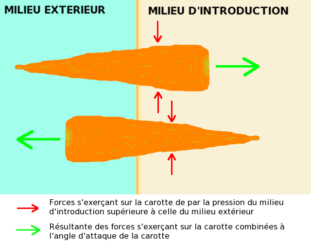 Fichier:Angle carotte.png