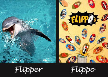 Fichier:Flipper-flippo.jpg