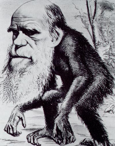 Fichier:Darwin ape.jpg