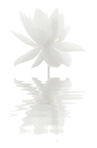 Fichier:Fleur lotus.gif
