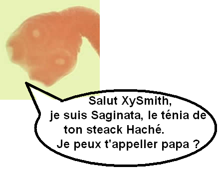 Fichier:Xysmith vers solitaire.png