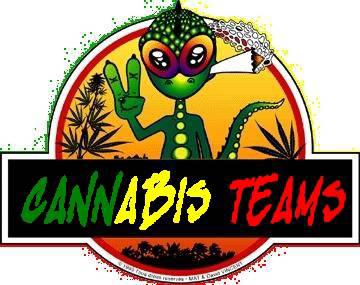 Cannabis team.jpg