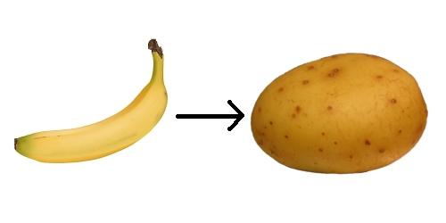 Fichier:Homeo-patate-banane.jpg