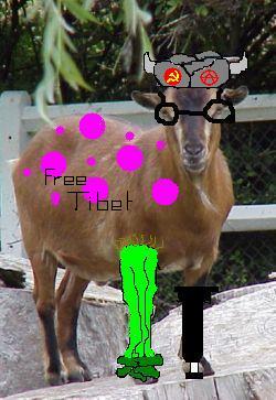 Fichier:Chèvre russe du tibet orientale.jpg