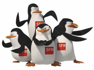 Fichier:Pingouinssfr.jpg