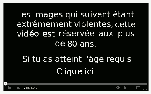 Fichier:Video-violente1.gif