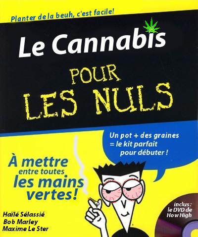 Fichier:Le Cannabis Pour Les Nuls.JPG