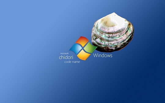 Fichier:Windows huitres.jpg