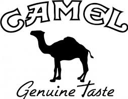 Fichier:Camel2.jpg