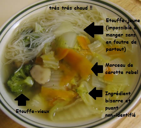 Fichier:Soupe analyse.jpg