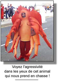 Fichier:Crabe.jpg