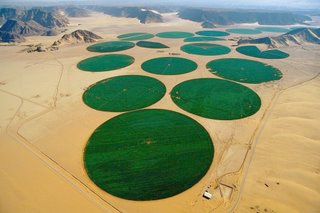 Fichier:Agriculture-irrigation-wadi-rum+en+Jordanie+(YA+Bertrand).jpg