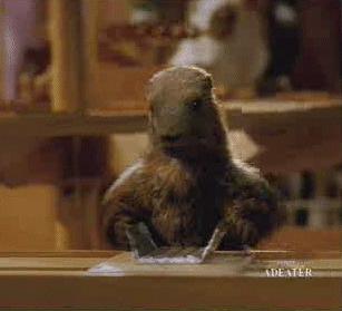 Fichier:La marmotte milka.jpg