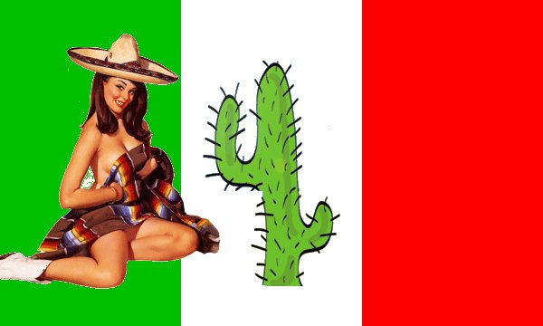 Fichier:Mexique flflag01.jpg