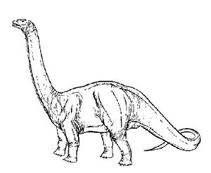 Diplodocus.jpg