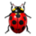 Icone insecte.png
