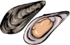 2moules.png