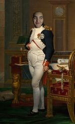 Napoléon 1er nidonite.jpg