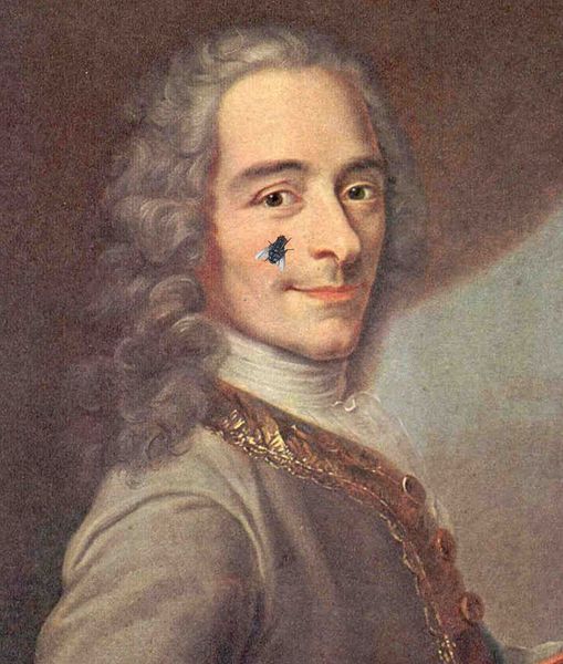 Fichier:VoltaireMouche.jpg