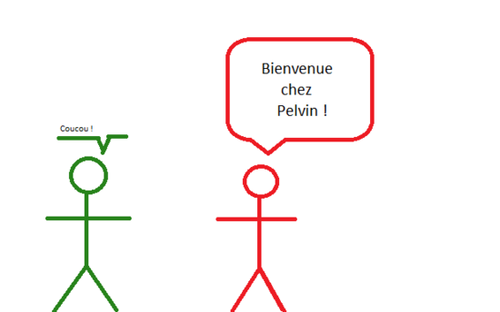 JP-M Dé Pelvin96frontpage.png