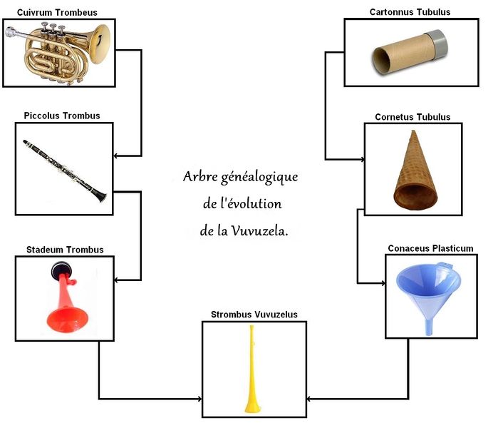 Fichier:Evolution vuvuzela - Copie.jpg