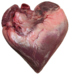 Coeur viande.png
