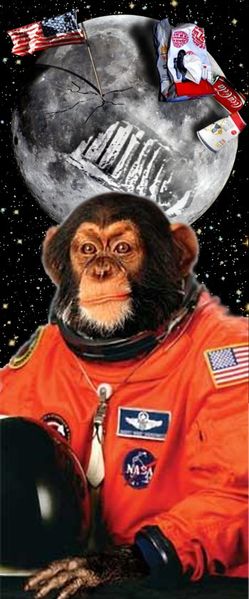 Fichier:Space-monkey.jpg
