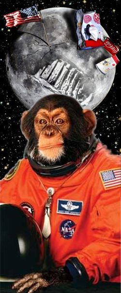 Space-monkey.jpg