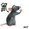 HC Rat.jpg