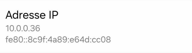 Fichier:Adresses ip android.jpg