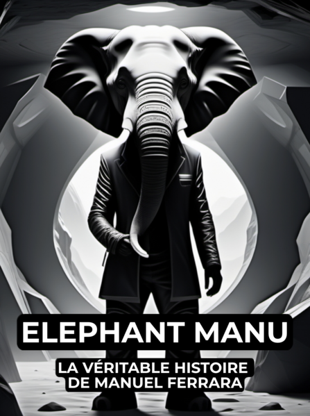 Fichier:ElephantManuel.png