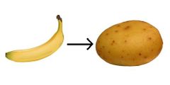 Une banane est homéomorphe à une patate. C'est quand même beau la science.