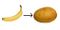 Homeo-patate-banane.jpg