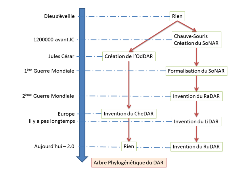 Fichier:Arbre Phylogénétique du DAR.png