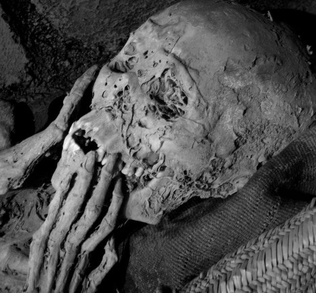 Fichier:Squelette de momie.jpg