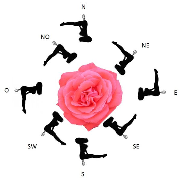 Fichier:Rose des vents 2.jpg
