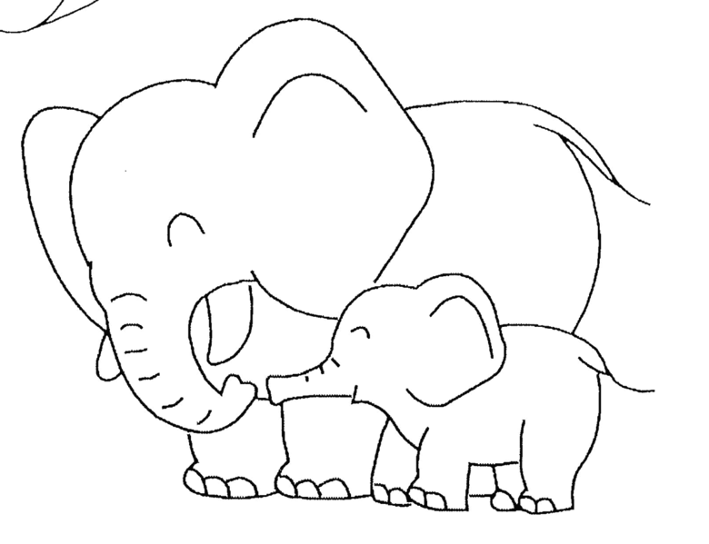 Fichier:Elephant elephanteau.gif