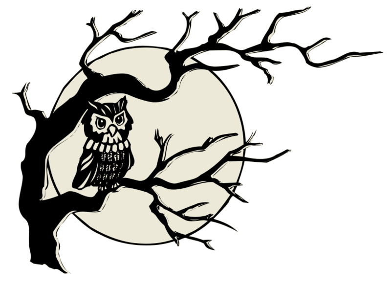 Fichier:Liftarn Owl in tree.png