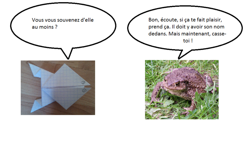 Fichier:Pere grenouille4.png