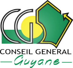 Logo Guyane.png