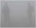 Brouillard2.jpg