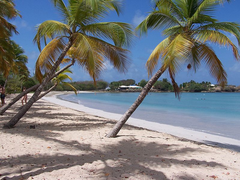 קובץ:Martinique Beach (Salines).jpg
