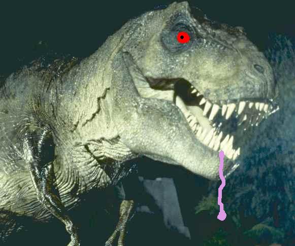 קובץ:Jurassic park movie image t rex 1 1-1-.jpg