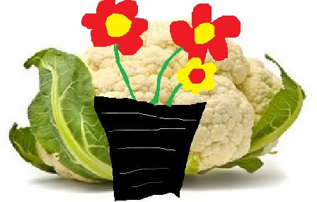 קובץ:Cauliflower.jpg