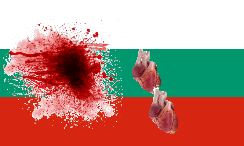 קובץ:Flag of Bulgaria.svg (1).png