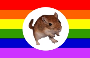 קובץ:Gerbil Pride Flag.jpg