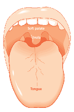 קובץ:Tongue.png