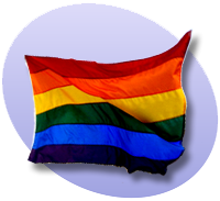 קובץ:P rainbow flag.png