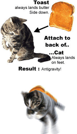 קובץ:חתול מחשב את קיצו לאחור.gif